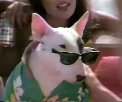 spuds mackenzie dog|spuds mackenzies gone to dog heaven.